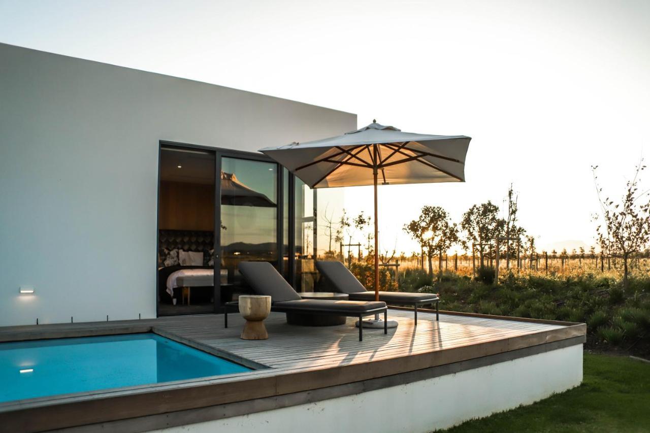 קייפטאון Vergenoegd Loew Boutique Hotel & Spa מראה חיצוני תמונה